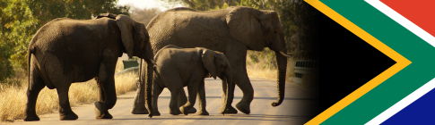 The Hidden Fence header image