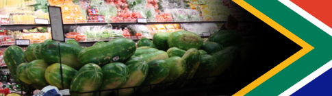 The Hidden Fence header image