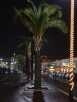 Palme und Strassenkandelaber mit Weihnachtsschmuck