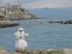 Schneemann vor meiner Lieblingskulisse: Altstadt von Antibes und dahinter die Alpen.