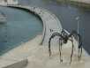 Der Weg der Spinne?